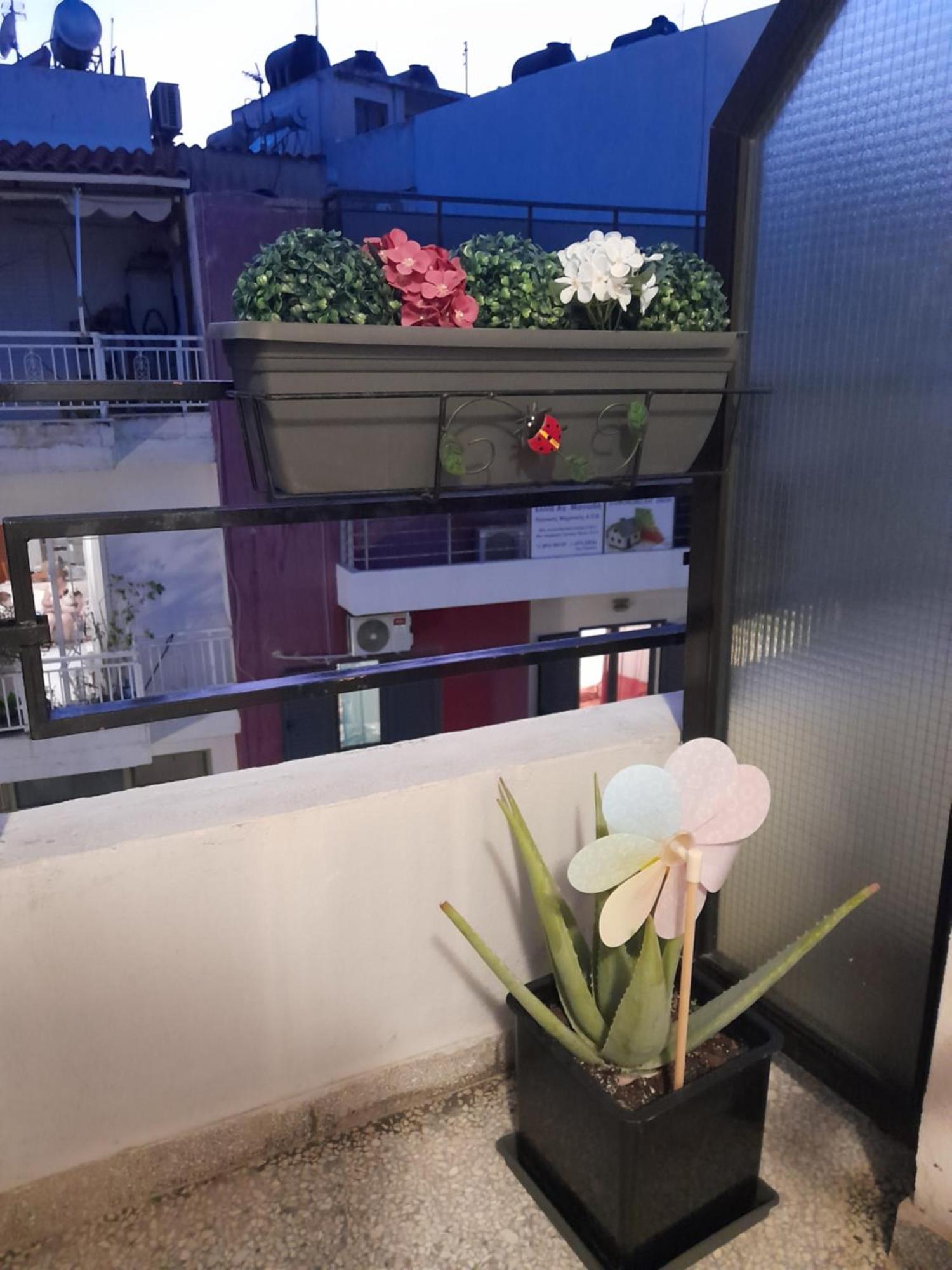 Apartment Centre Experiene